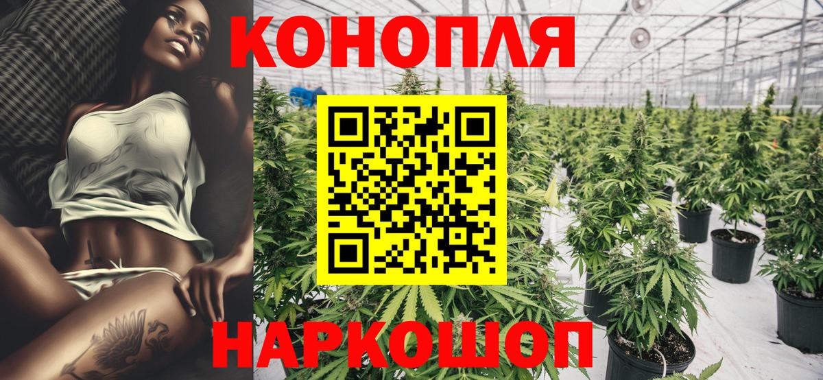 Марихуана марихуана  Вход с VPN  Бошки марихуана Ganja  Ачхой-Мартан 